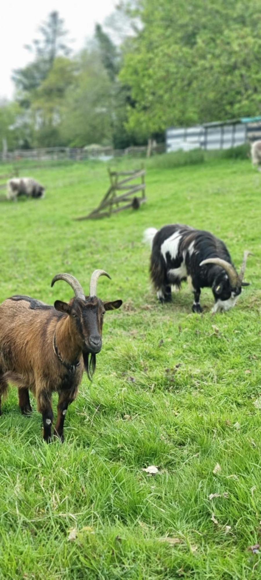Chambres D'Hotes Ferme De La Baie Roz-sur-Couesnon Exterior foto