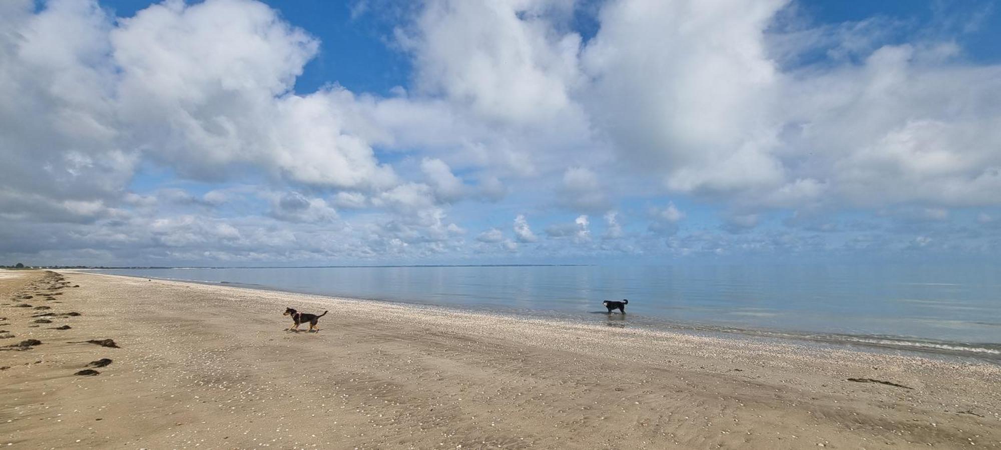 Chambres D'Hotes Ferme De La Baie Roz-sur-Couesnon Exterior foto